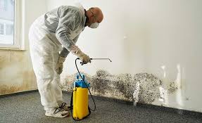 Why You Should Choose Our Mold Remediation Services in Sparta, TN